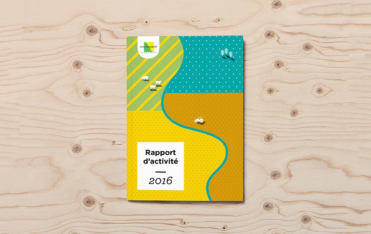 Brochure et rapport d'activités 2016